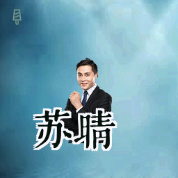 苏晴